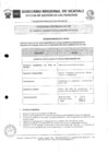 Vista preliminar de documento PERFIL CONVOCATORIA