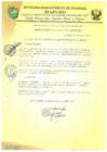 Vista preliminar de documento RESOLUCIÓN DE ALCALDÍA 114-2019-MDI/T