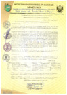 Vista preliminar de documento RESOLUCIÓN DE ALCALDÍA 130-2019-MDI/T