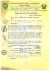 Vista preliminar de documento RESOLUCIÓN DE ALCALDÍA 132-2019-MDI/T