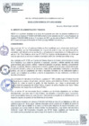 Vista preliminar de documento RGAF N° 011-2021-MDB
