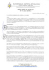 Vista preliminar de documento Resolucion-176-2021.pdf