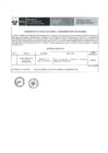 Vista preliminar de documento Saneamiento físico de inmueble - Listado N° 004-2019