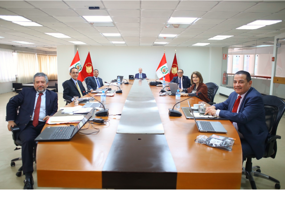 Pleno del Tribunal Constitucional