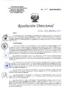 Vista preliminar de documento Resolución Directoral N°297 Trigesima Cuarta PAC.PDF