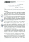 Vista preliminar de documento RD-005-2019-DE-HEVES