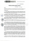 Vista preliminar de documento RD-029-2019-DE-HEVES