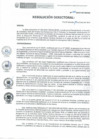 Vista preliminar de documento RD-002-2019-DE-HEVES