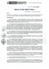 Vista preliminar de documento RD-008-2019-DE-HEVES