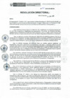 Vista preliminar de documento RD-045-2019-DE-HEVES
