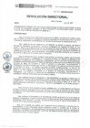 Vista preliminar de documento RD-050-2019-DE-HEVES