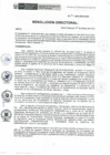 Vista preliminar de documento RD-030-2019-DE-HEVES