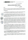 Vista preliminar de documento RD-067-2019-DE-HEVES