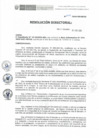 Vista preliminar de documento RD-049-2019-DE-HEVES