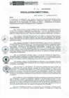 Vista preliminar de documento RD-022-2019-DE-HEVES