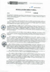 Vista preliminar de documento RD-077-2019-DE-HEVES