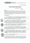 Vista preliminar de documento RD-100-2019-DE-HEVES