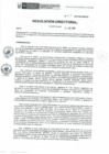 Vista preliminar de documento RD-103-2019-DE-HEVES