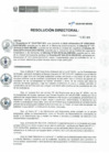 Vista preliminar de documento RD-174-2019-DE-HEVES