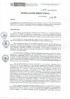 Vista preliminar de documento RD-225-2019-DE-HEVES
