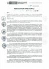 Vista preliminar de documento RD-156-2019-DE-HEVES