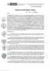 Vista preliminar de documento RD-234-2019-DE-HEVES
