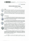 Vista preliminar de documento RD-239-2019-DE-HEVES