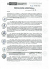 Vista preliminar de documento RD-246-2019-DE-HEVES