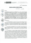 Vista preliminar de documento RD-233-2019-DE-HEVES