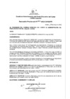 Vista preliminar de documento Resolucion Presidencial
