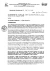 Vista preliminar de documento Resolucion Presidencial