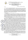 Vista preliminar de documento Resolucion-GM-N°0226-2020.pdf