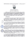 Vista preliminar de documento RA-N°-195