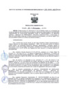Vista preliminar de documento RA-N°-210
