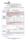 Vista preliminar de documento Instructivo de Emisión de Copias de Documentos Registrales Archivados