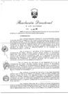 Vista preliminar de documento RD N° 102-2019-PCM