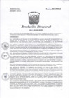 Vista preliminar de documento 060-2017-HNAL/D .pdf