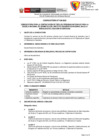 Vista preliminar de documento Convocatoria 036-2022