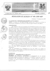 Vista preliminar de documento R2009-406.pdf