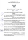 Vista preliminar de documento RD 060.pdf