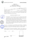 Vista preliminar de documento ANEXOS 