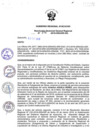 Vista preliminar de documento RGGR_271_2019.pdf