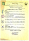 Vista preliminar de documento RESOLUCIÓN DE ALCALDÍA 171-2019-MDI/T