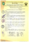 Vista preliminar de documento RESOLUCIÓN DE ALCALDÍA 170-2019-MDI/T