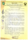 Vista preliminar de documento RESOLUCIÓN DE ALCALDÍA 160-2019-MDI/T