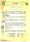 Vista preliminar de documento RESOLUCIÓN DE ALCALDÍA 173-2019-MDI/T