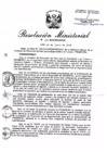 Vista preliminar de documento RM.N° 229