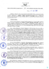 Vista preliminar de documento RES N°204-2022-GRDS