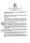 Vista preliminar de documento Resolucion Presidencial