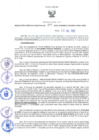 Vista preliminar de documento RES N°207-2022-GRDS